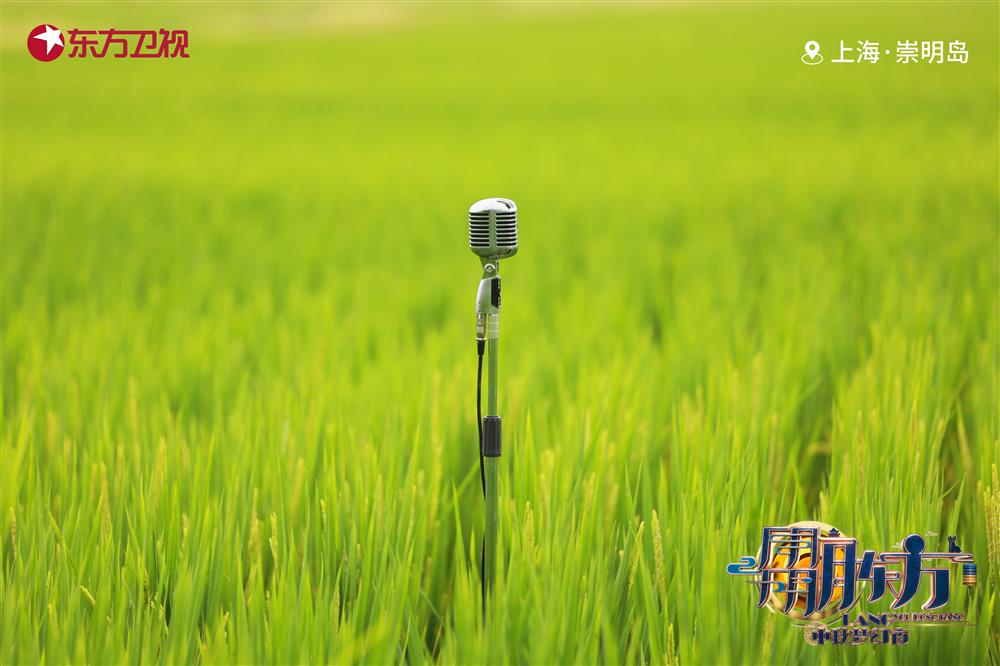 在崇明的稻田间，歌唱家龚琳娜将带来《山歌潮唱》节目.jpg