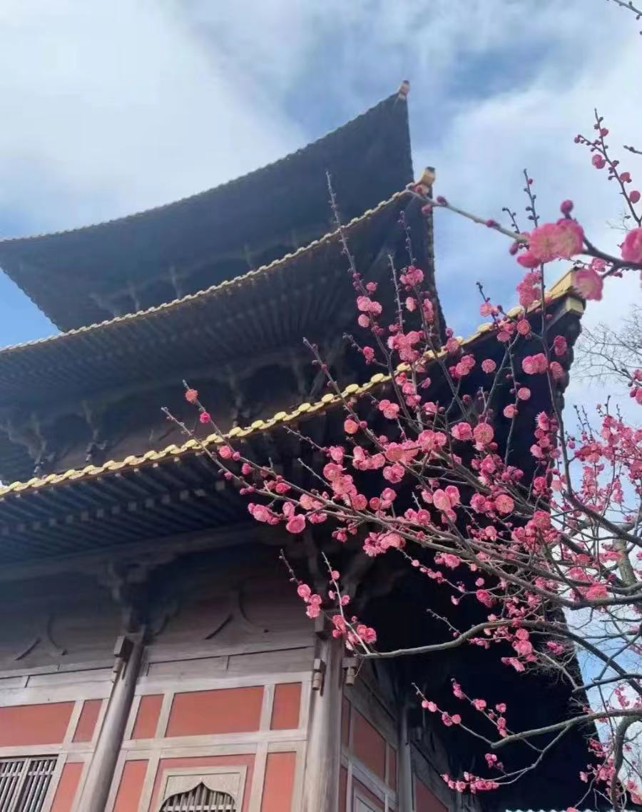 广富林5.jpg