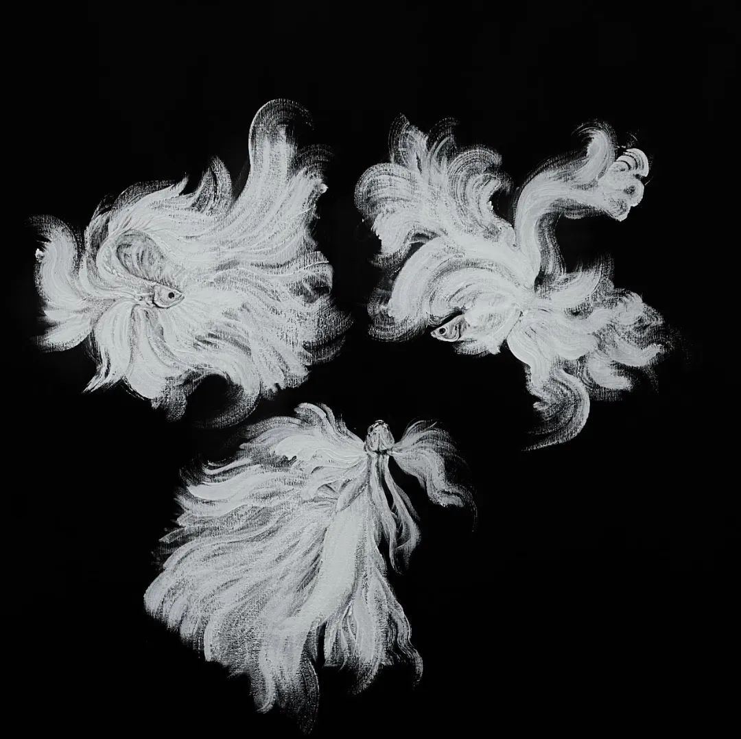 长宁5.jpg