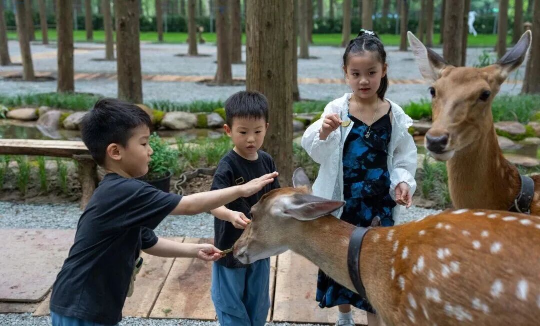 图10.jpg