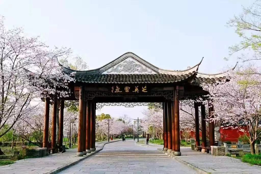 广富林8.jpg