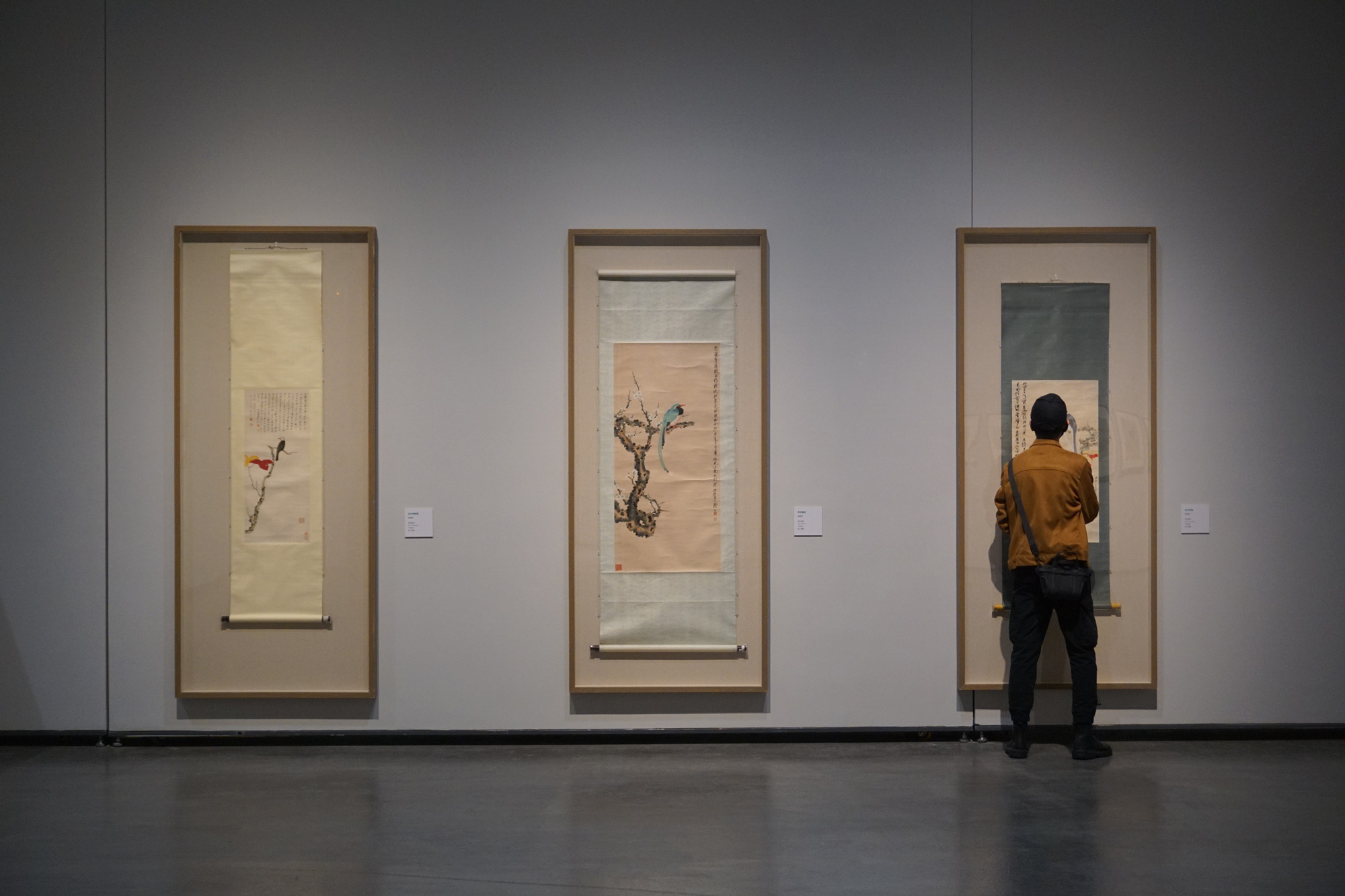 谢稚柳陈佩秋艺展1.jpg
