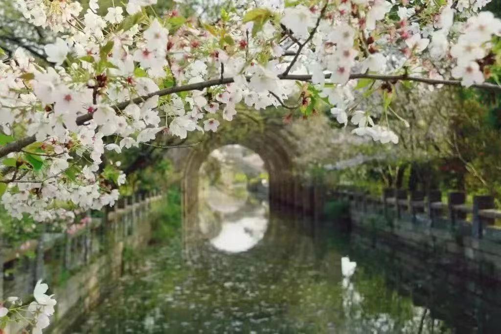 广富林11.jpg