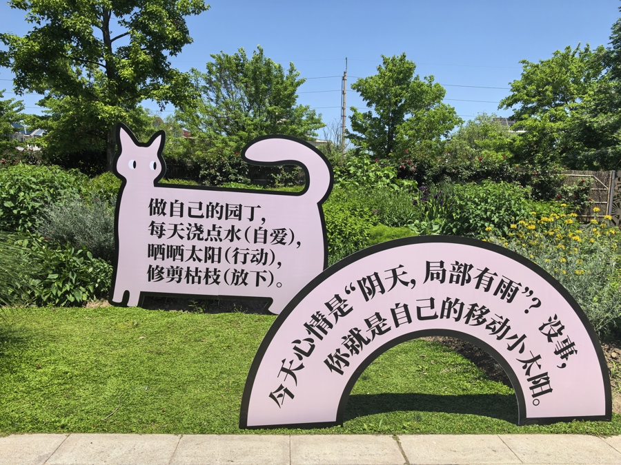 图6.jpg