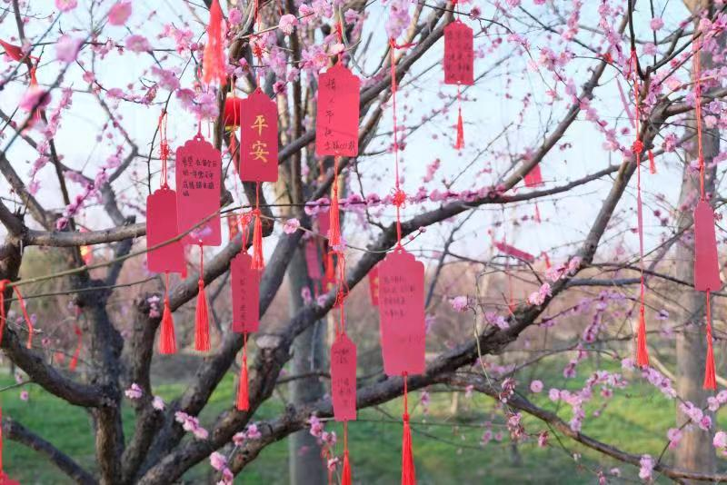 金山5.png 金山5.png