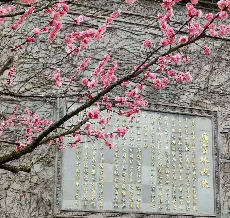广富林6.jpg
