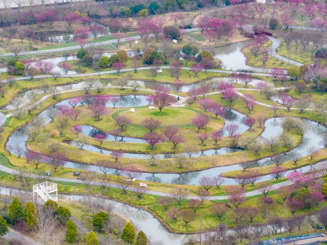 金山2.jpg