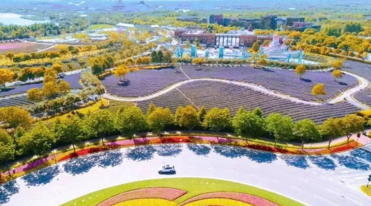 上海国际旅游度假区3.png