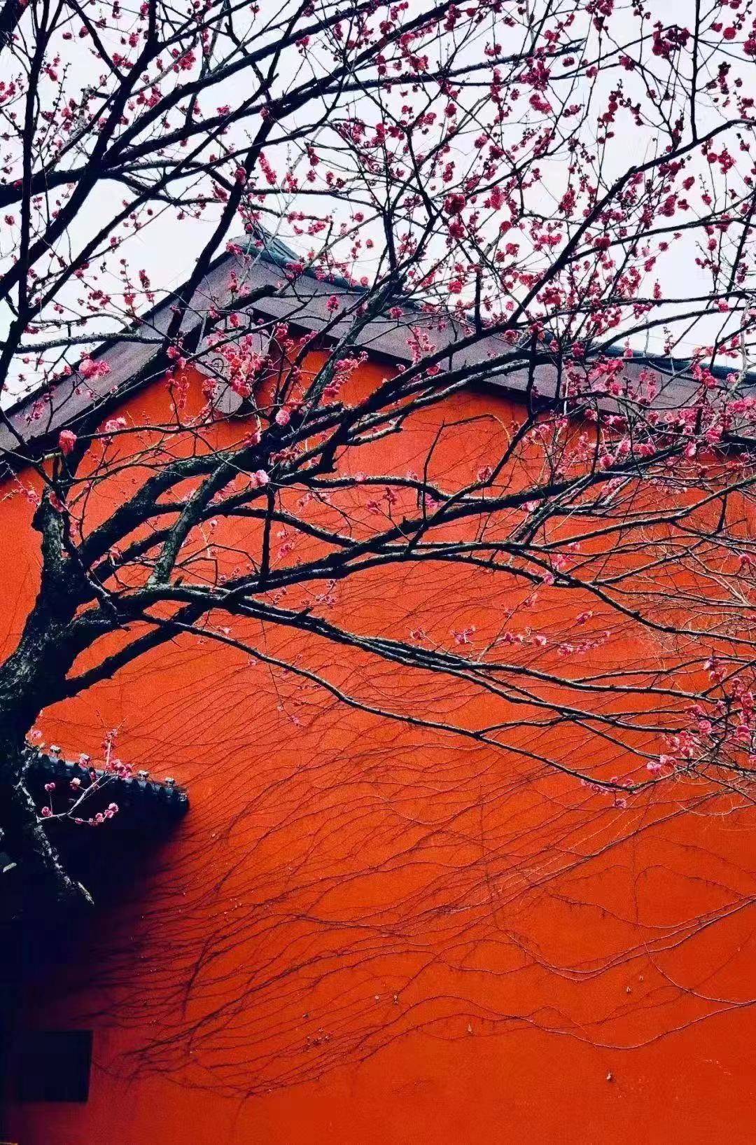 广富林3.jpg