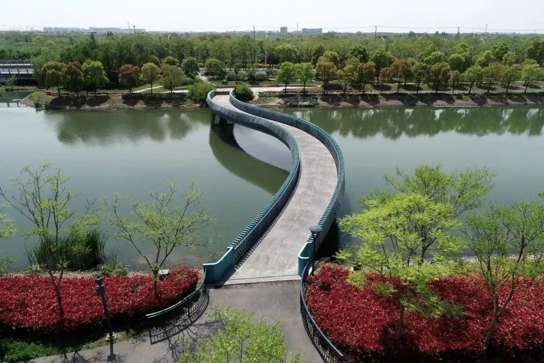 上海国际旅游度假区16.jpg