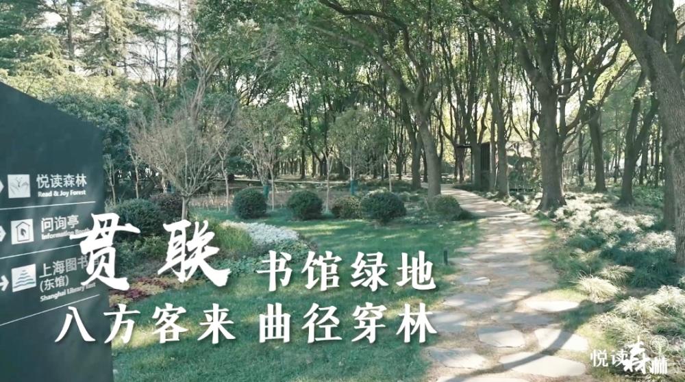 悦读森林3.jpg