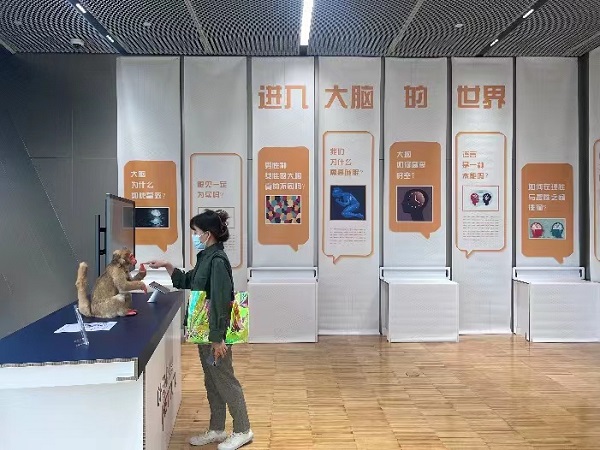 “追问大脑”2.jpg