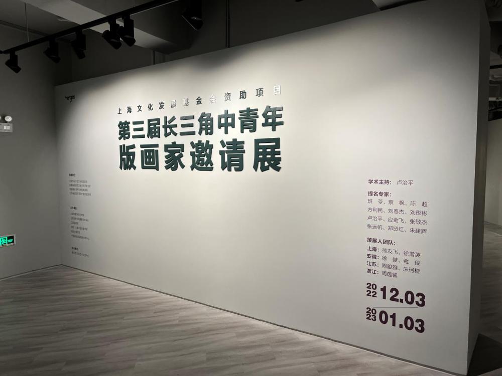 长三角中青年版画家邀请展3.jpg