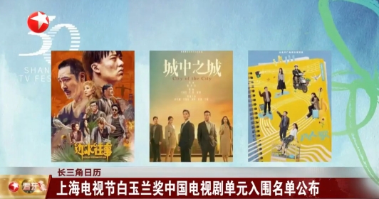 上海电视节白玉兰奖中国电视剧单元入围名单公布