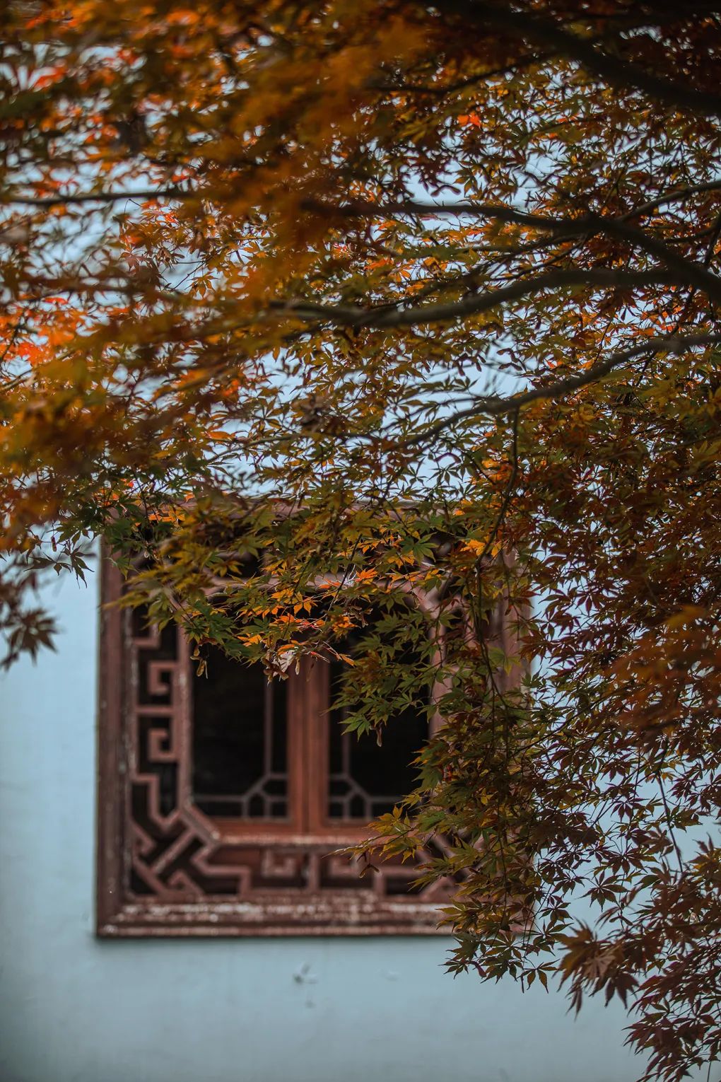 青浦1.jpg