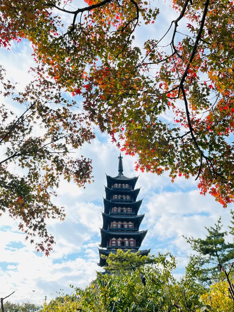 方塔园2.jpg