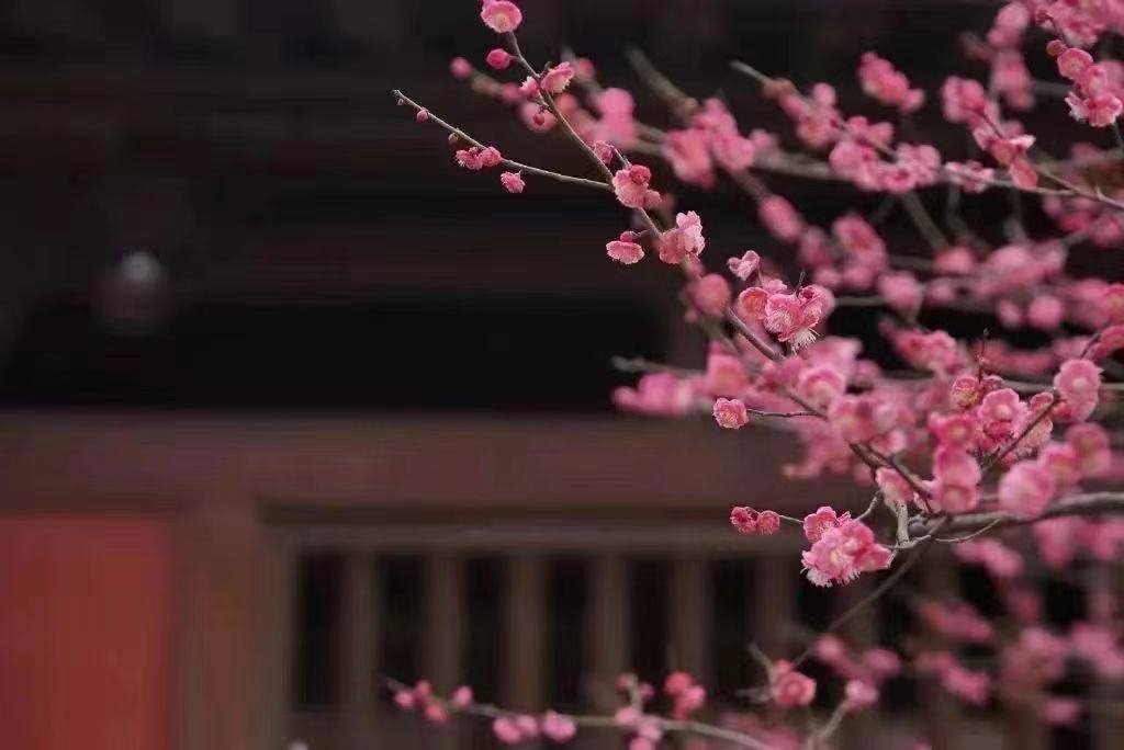 广富林2.jpg