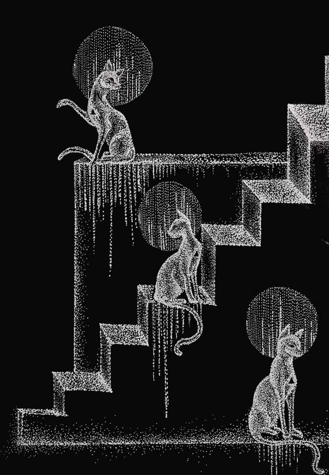 长宁7.jpg