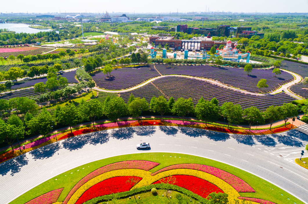 上海国际旅游度假区4.png