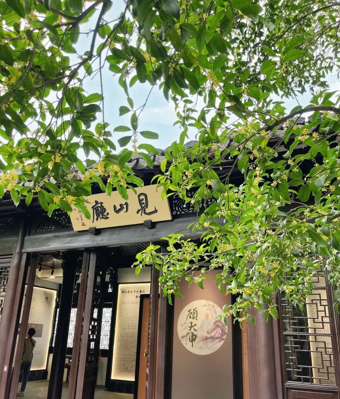 醉白池公园2.jpg