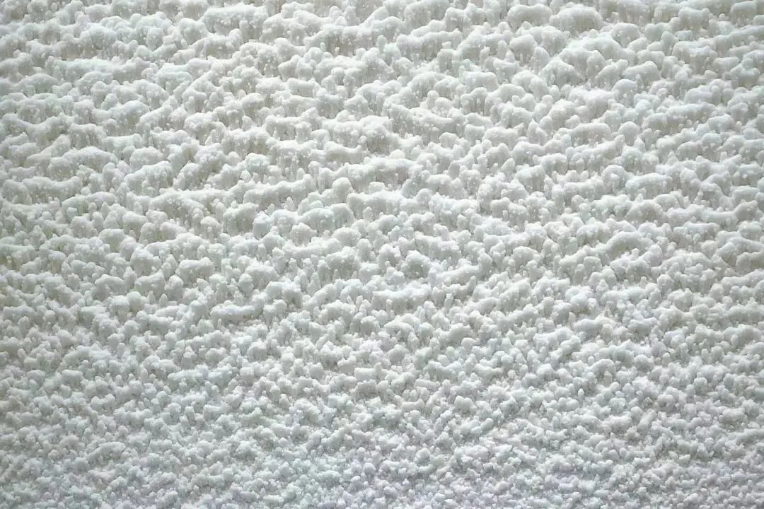 虹口10.jpg 虹口10.jpg