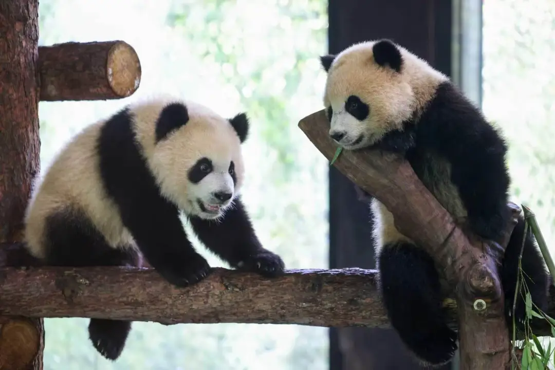 23.png
