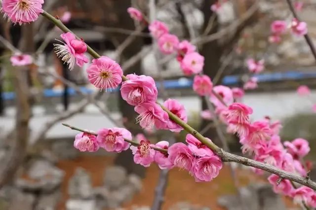 金山18.jpg