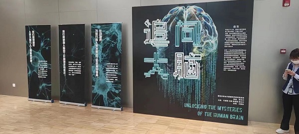 “追问大脑”1.jpg