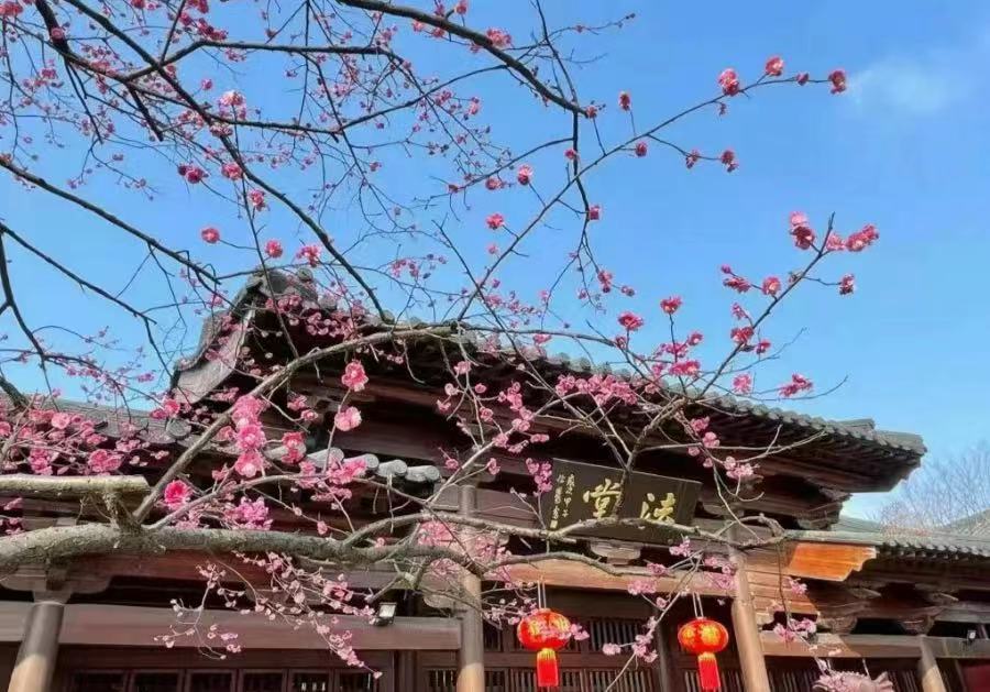 广富林7.jpg