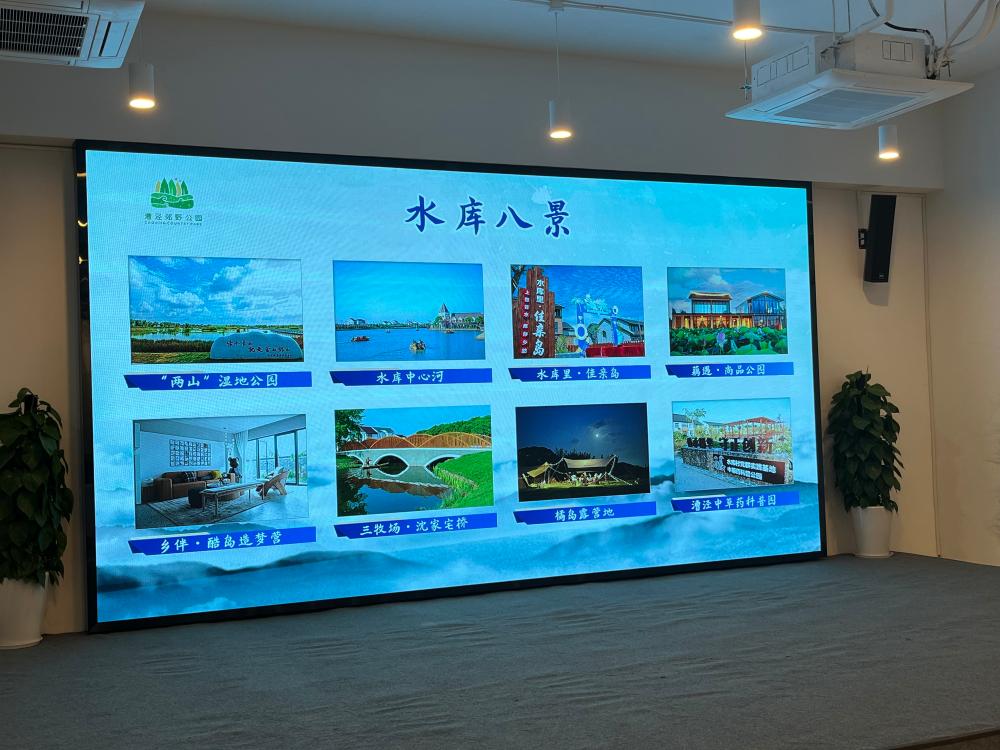 金山7.jpg