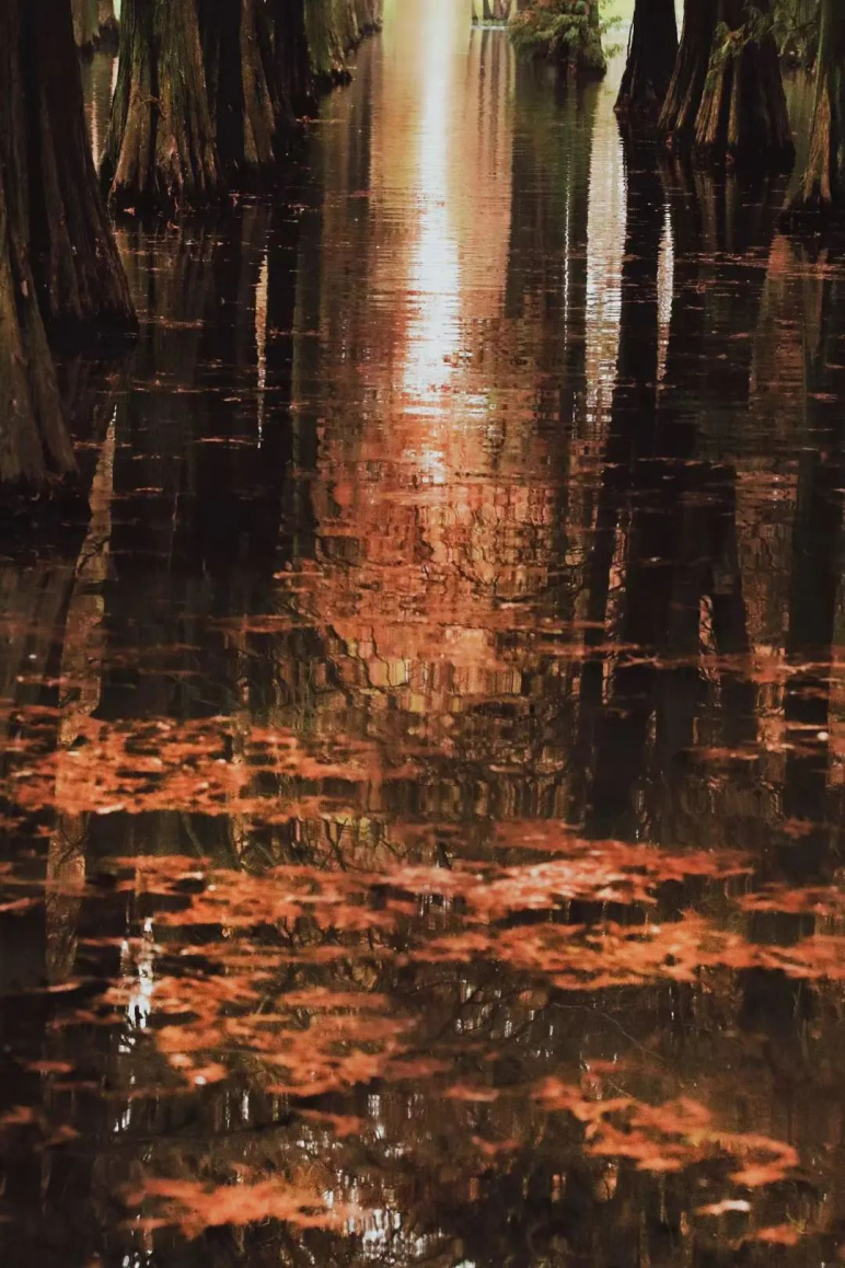 青浦3.png