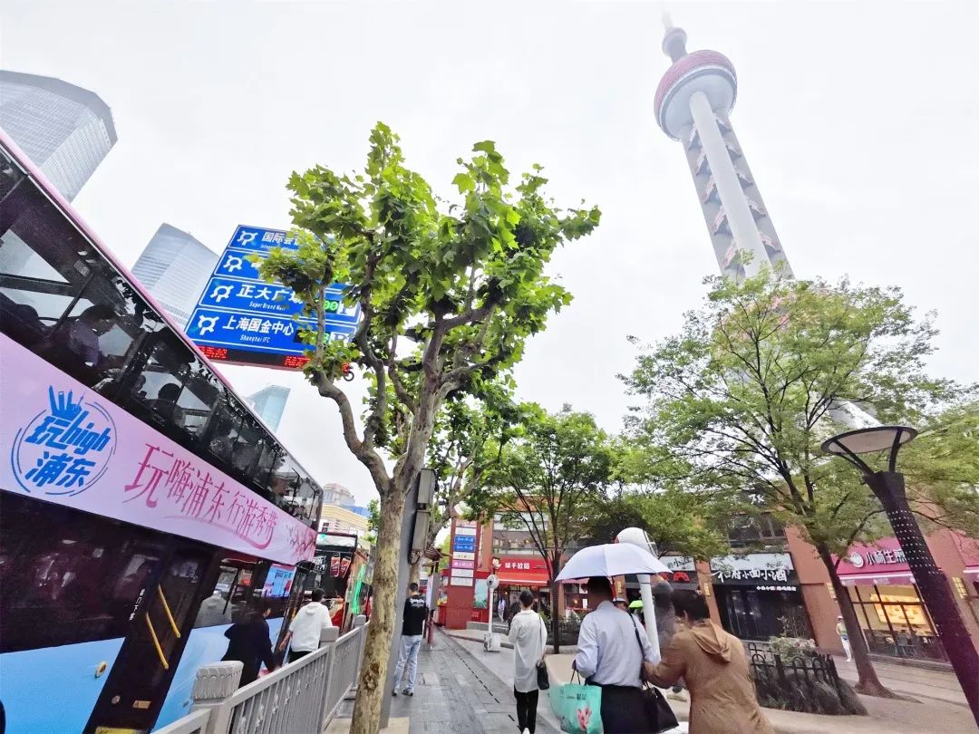 浦东1.jpg