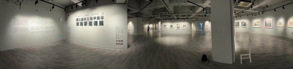 长三角中青年版画家邀请展2.jpg