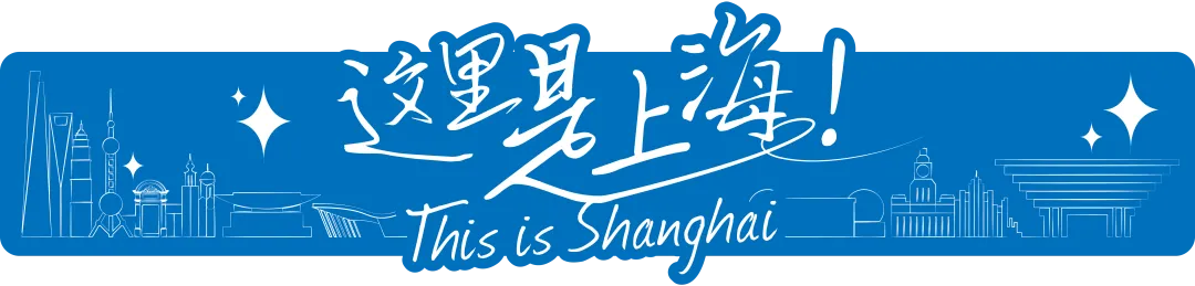 这里是上海.png