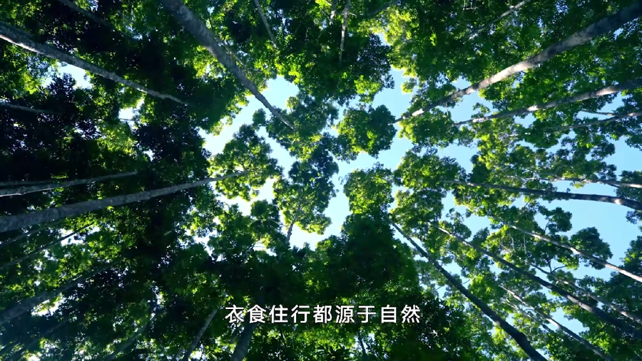 《一路前行2》6.png