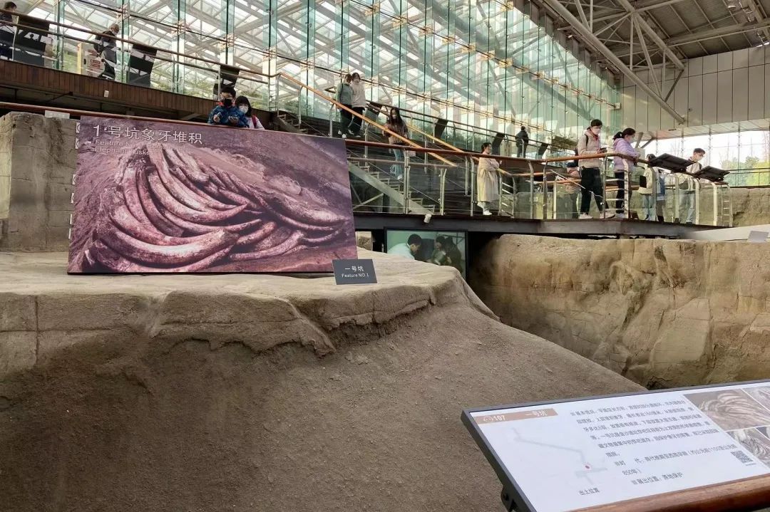 图9.jpg