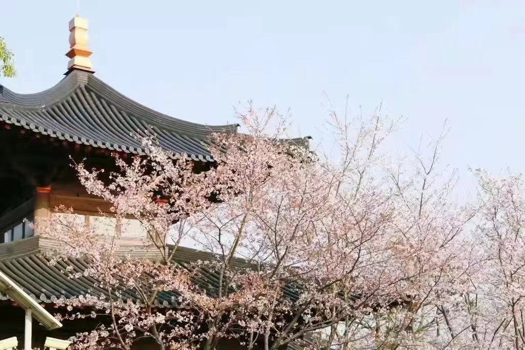 广富林10.jpg