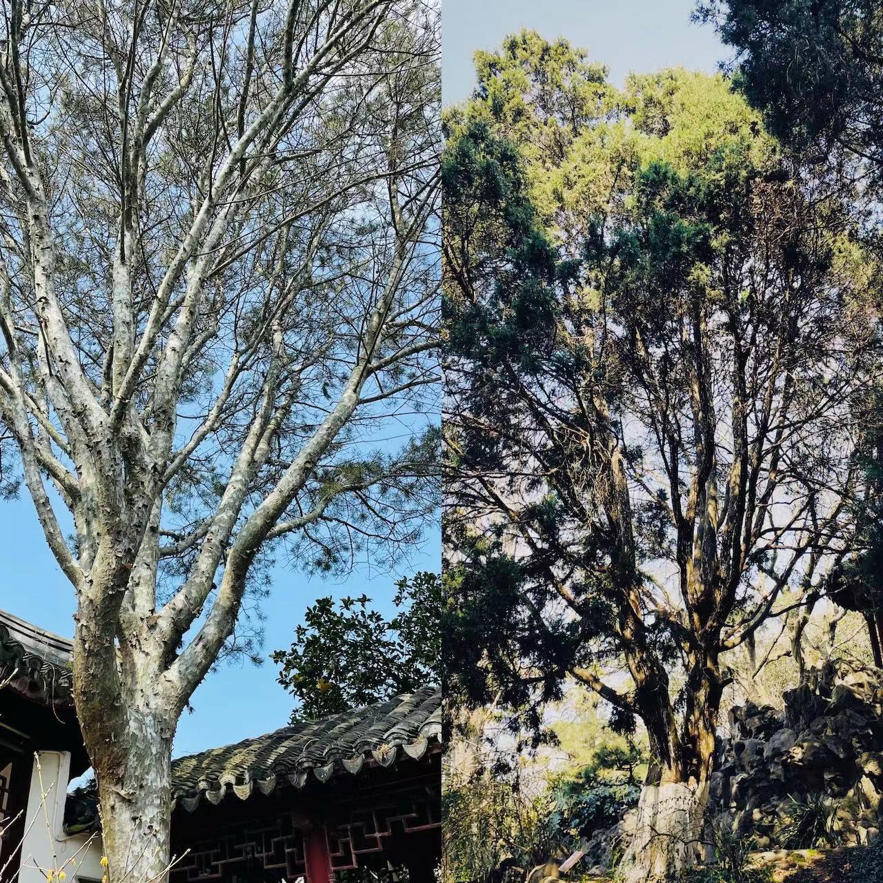 微信图片_202203221436532.jpg